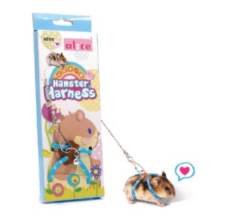 hamster
