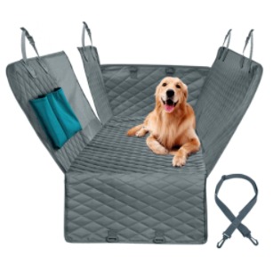 perro proteccion
