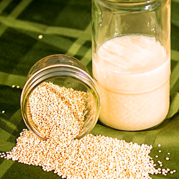leches vegetales como negocio - leche de quinoa